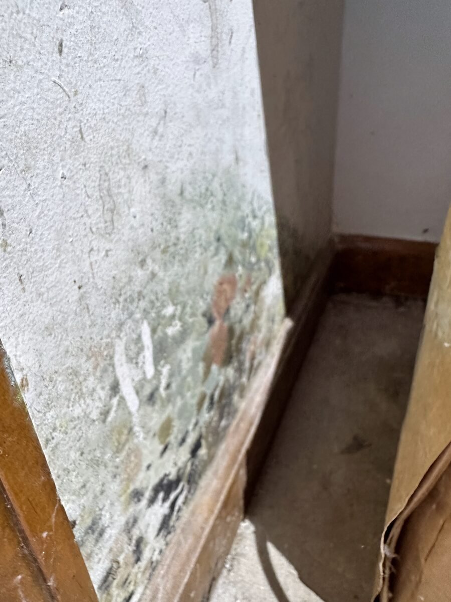 Mold growth and damaged material on an interior wall